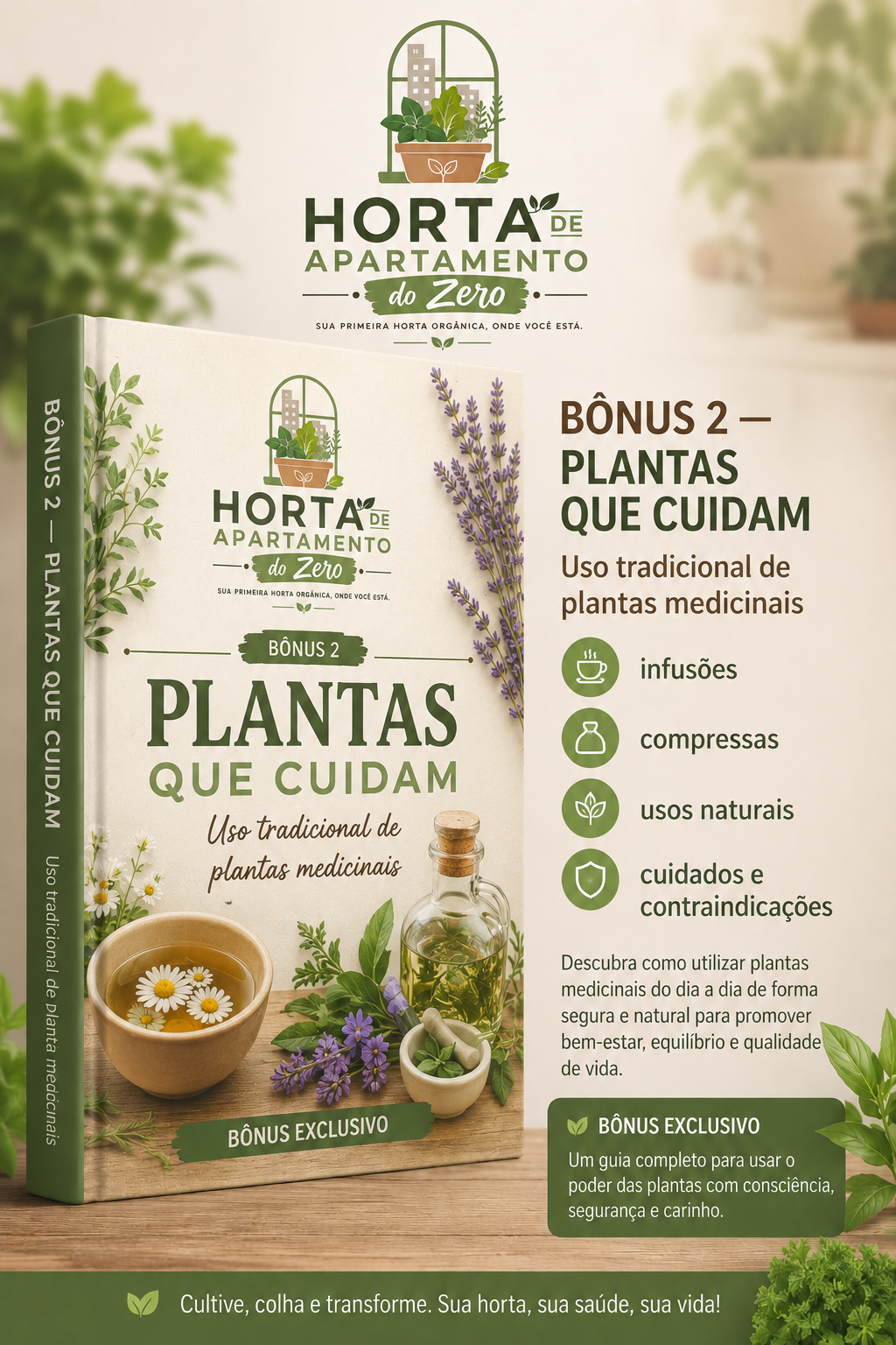 Plantas que cuidam parte 1